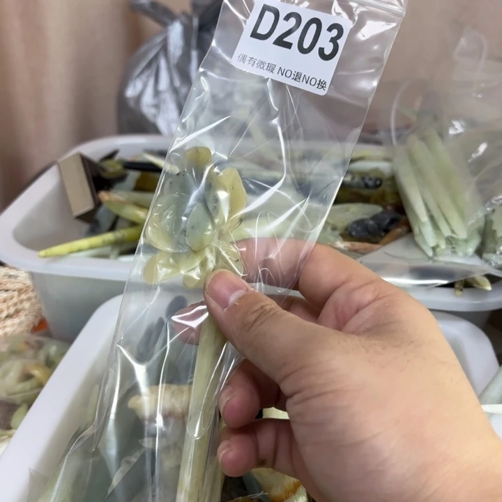 蛇纹石玉发饰合金相****随