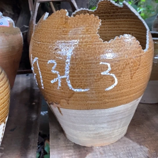 无花朵玫瑰花鲜花鲜花鲜花