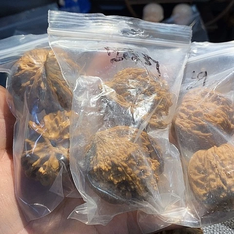 文玩核桃吊坠貔*。满天星42