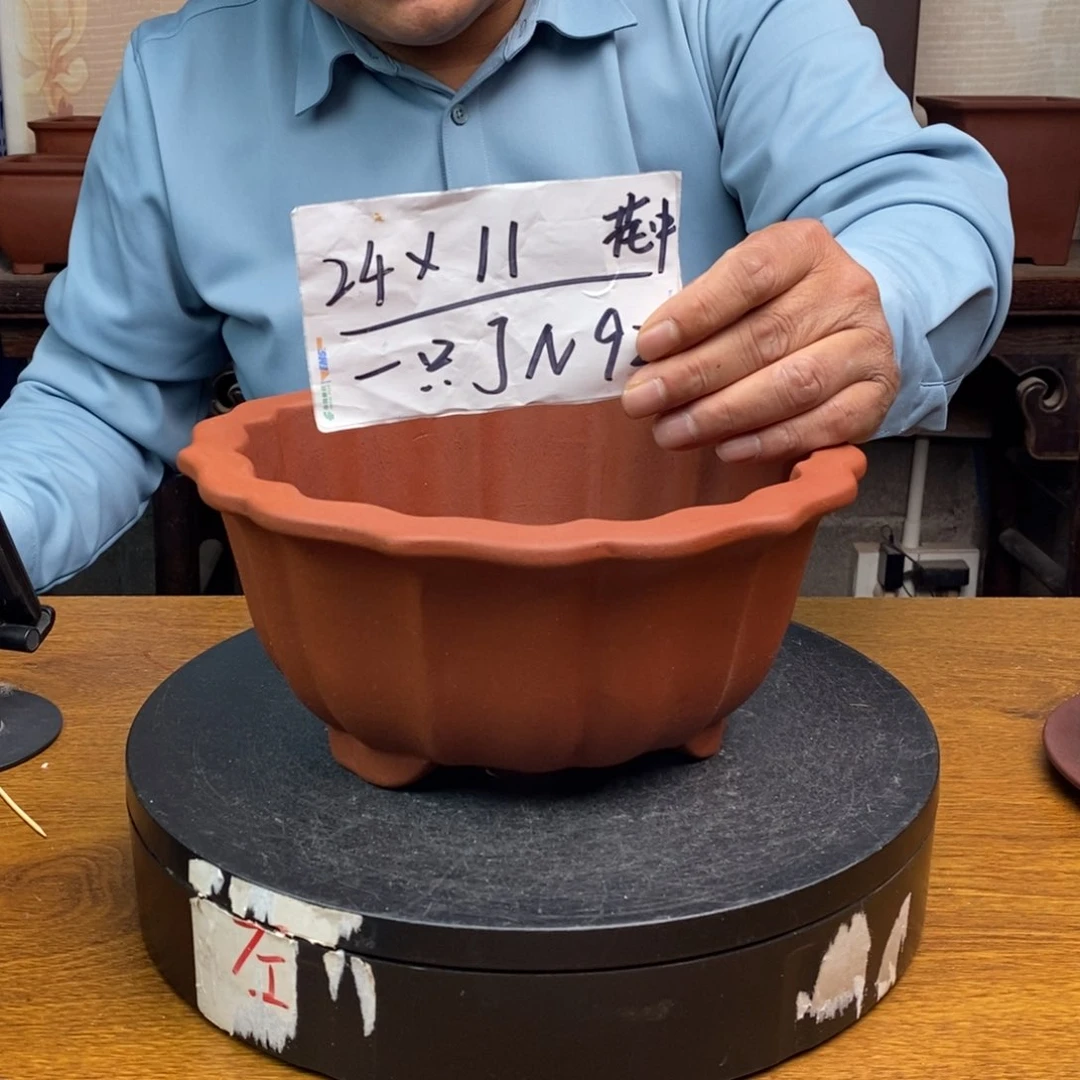 红陶货号一只JN92