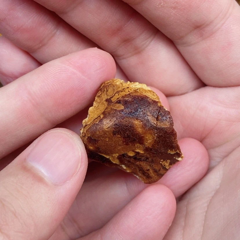 【闪购商品】定制琥珀未镶嵌东**哥蜜蜡