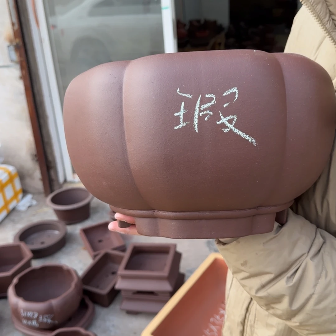 紫砂花盆呜呜呜呜