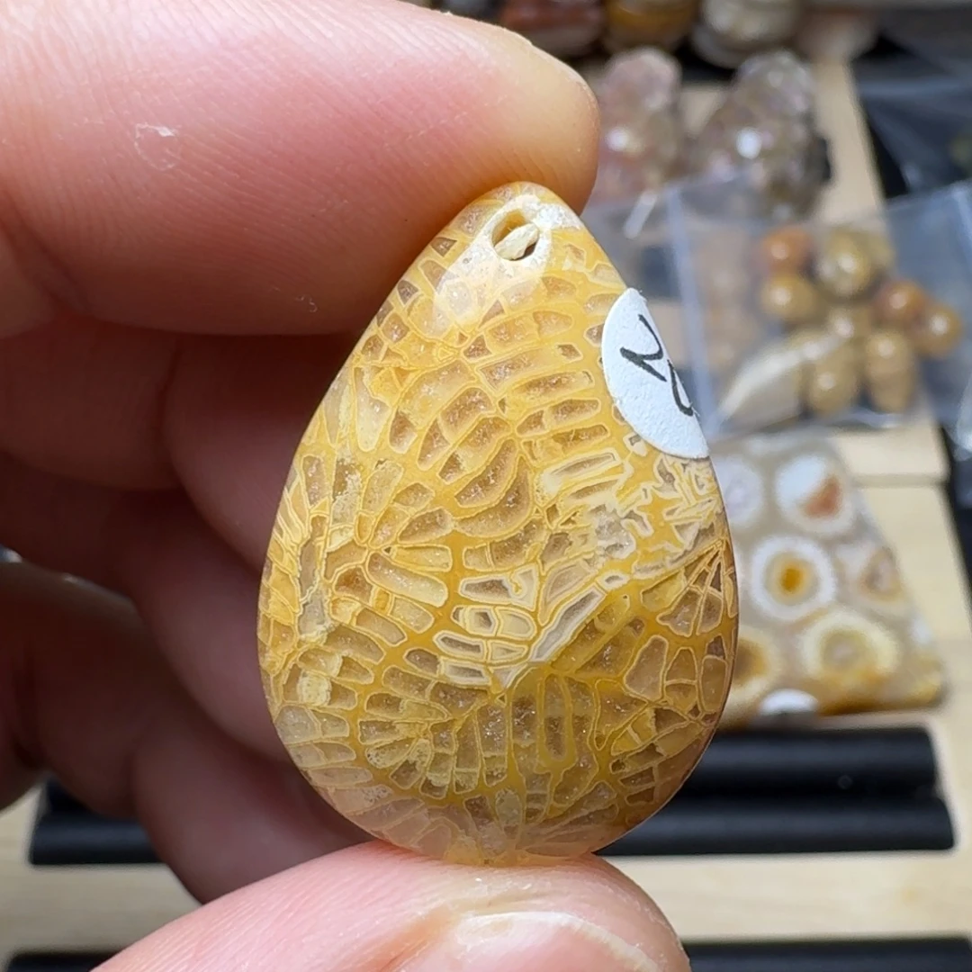 硅化珊瑚（珊瑚玉）未镶嵌纯天然色有机玉石保真色