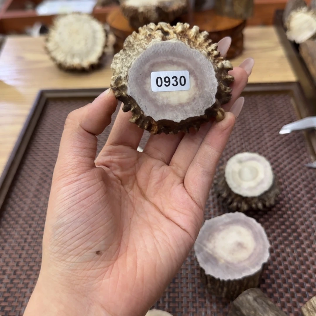 鹿骨其他0930角帽