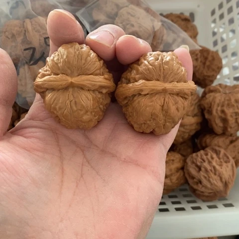 H***a把件文玩核桃哈哈哈