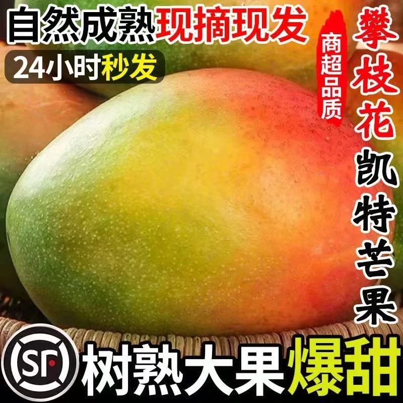 【顺丰快递】坏果包赔四川攀枝花凯特芒果现摘现发净重9斤