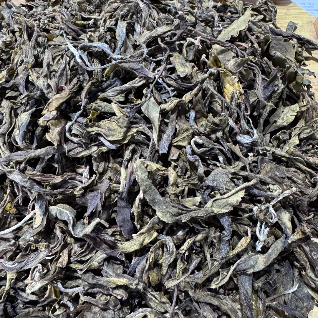 2025年头春广别老寨古树妖茶61号黄金叶