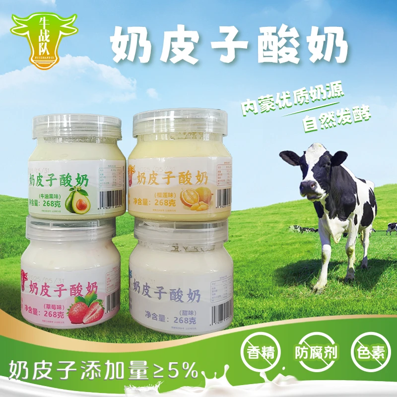 【大東专属】内蒙古奶皮子酸奶唇齿留香配料干净健康营养新鲜日期
