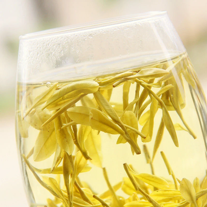 黄金芽A6正宗原产区新茶茶叶春茶绿茶传统好茶鲜爽浓郁香耐泡茶