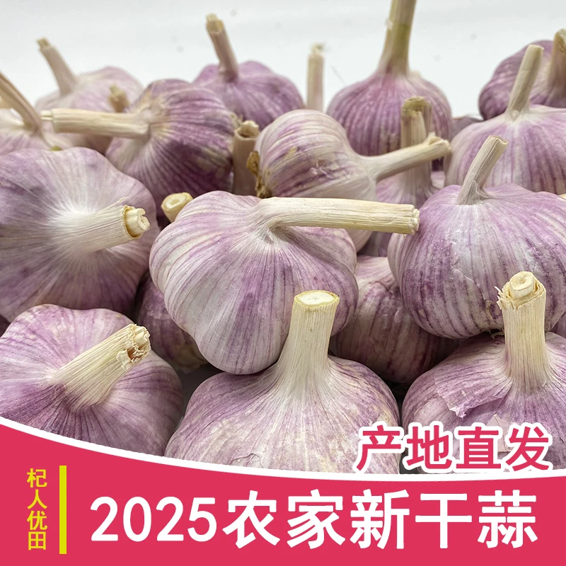 2025新干蒜5斤大蒜紫白皮大蒜源头产地直发大蒜头1斤3斤9斤大蒜