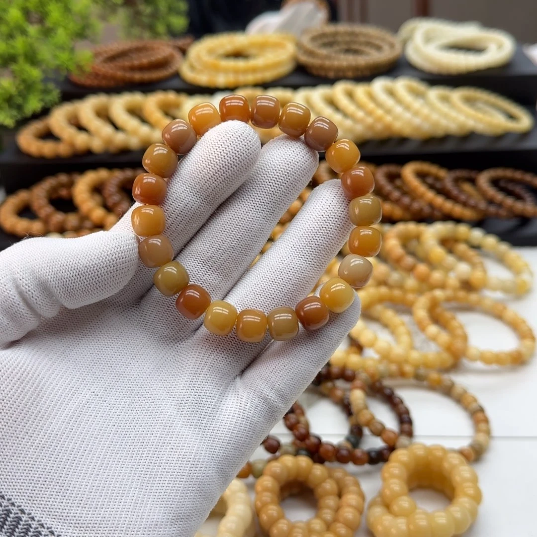 手串菩提根/象牙果10*11精工 5年