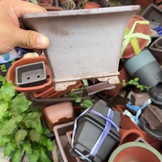 听***院一定很有成就感哦笑起来超治愈哦这