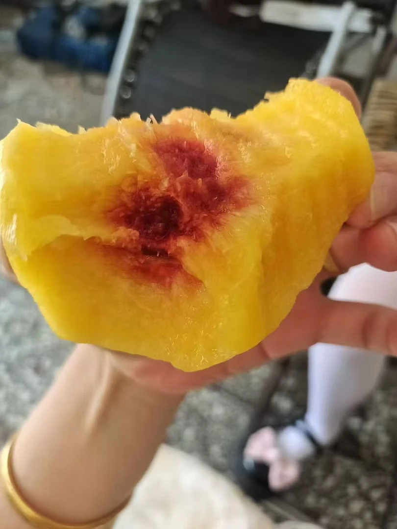 湖南桂东高山锦绣黄桃自然成熟当季水果果园现摘现发整箱包邮