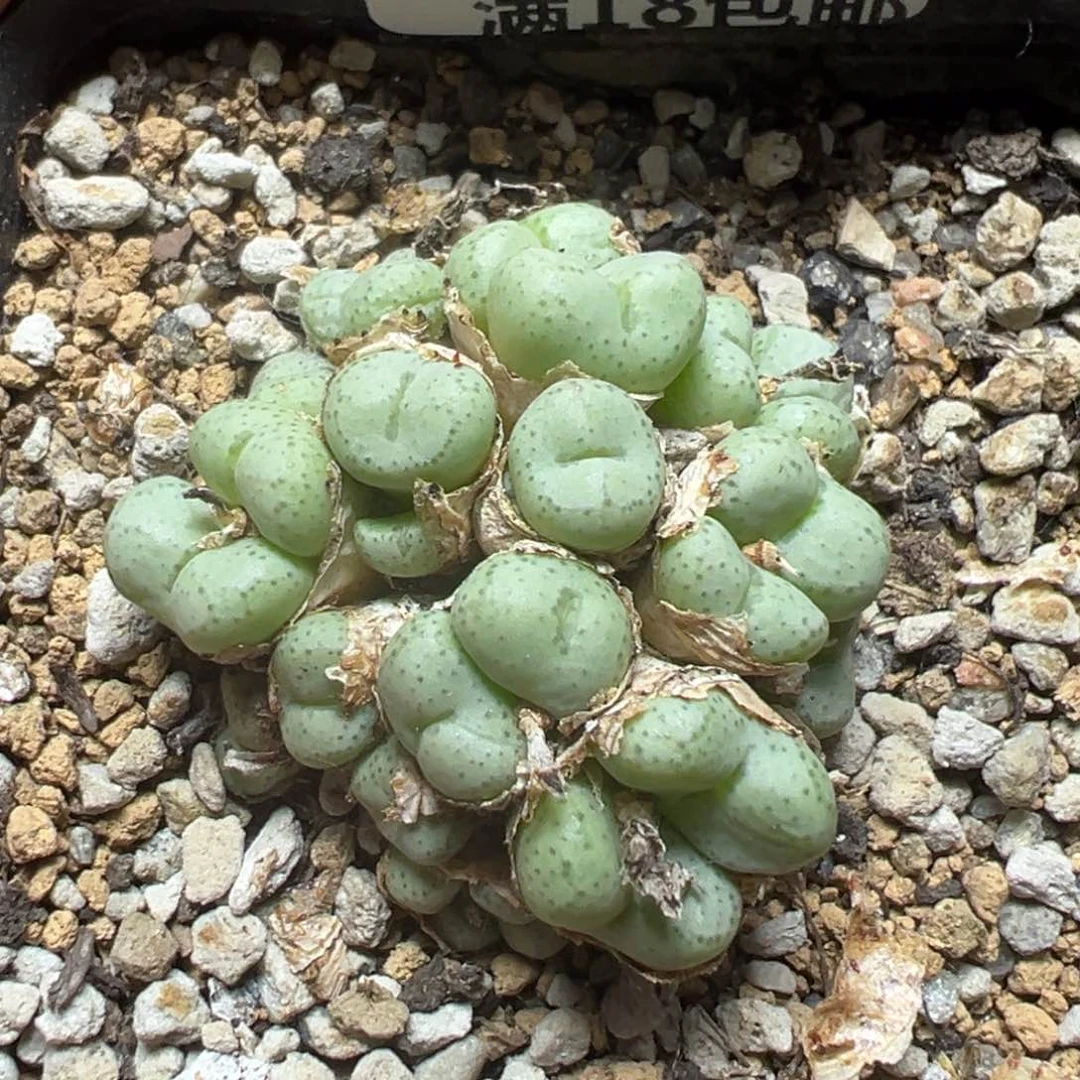 【闪购商品】 123。