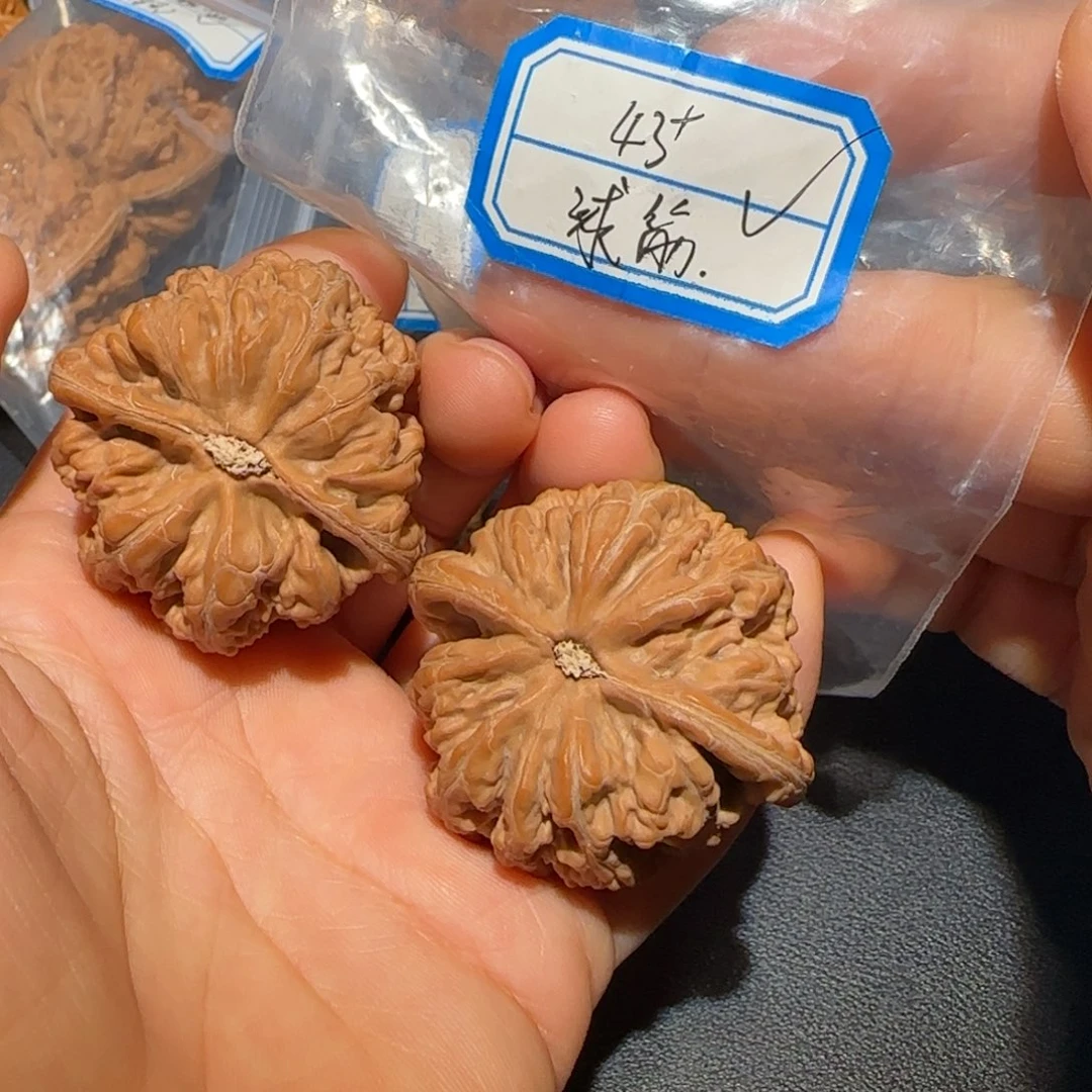 飞飞飞飞飞飞飞飞飞飞