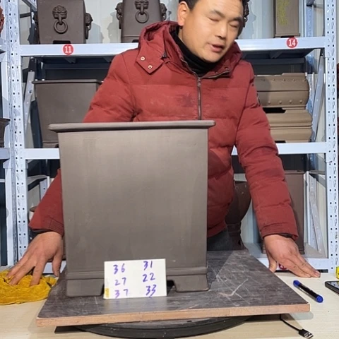 紫砂花盆悬*柏Mmmmmmmmmmmm