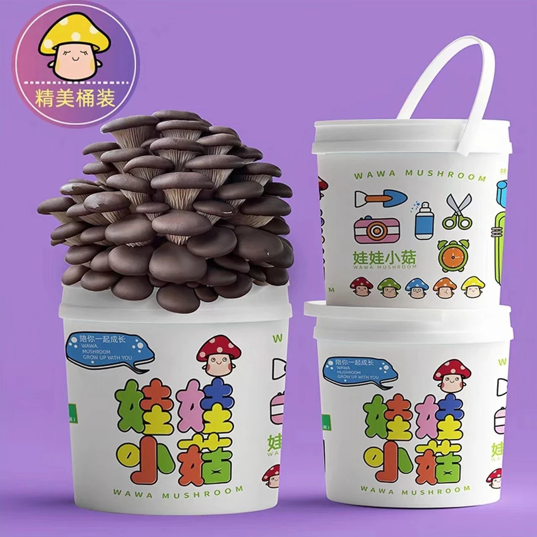 蘑菇种植菌包桶装盆栽食用菌儿童学生假期实验观察日记科学小实验