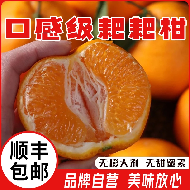 品牌自营 口感耙耙柑 毛重约5.6斤/件柑橘四川省浙江省嘉兴市