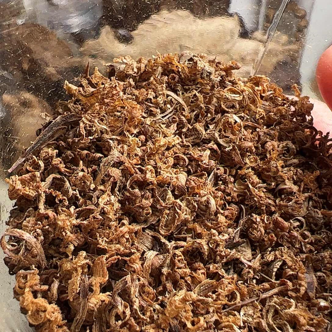 沉香碎屑沉香达拉干沉水勾丝2克