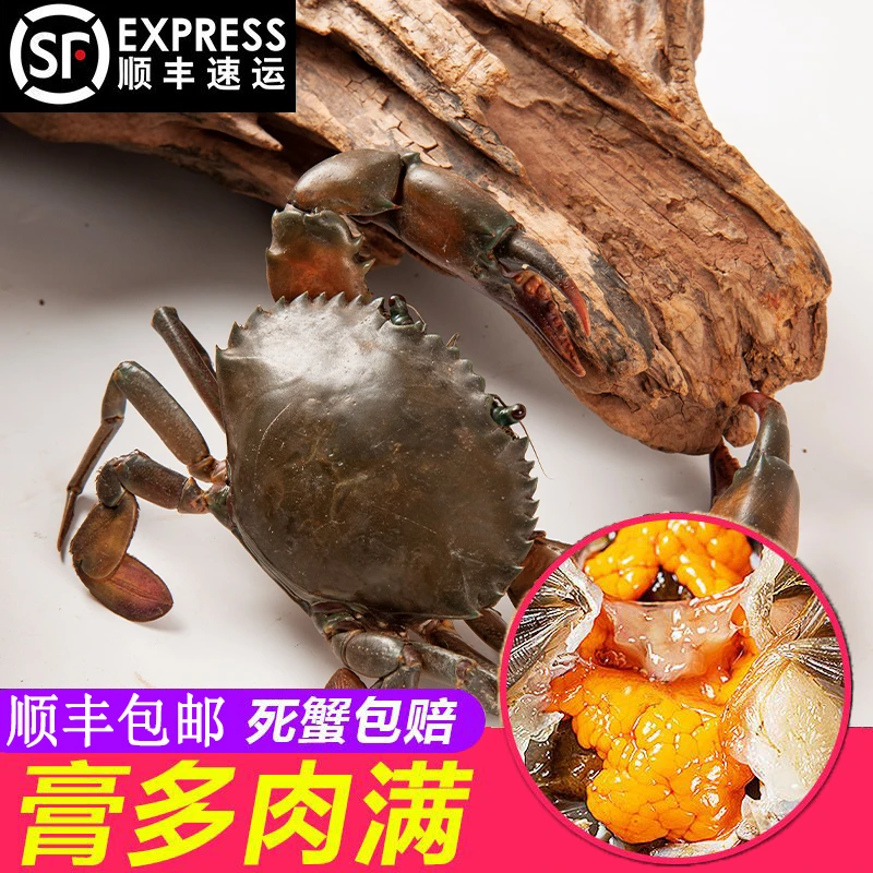 青蟹鲜活螃蟹肉蟹水产海鲜螃蟹膏蟹顺丰包邮死蟹包赔婚宴采购定购