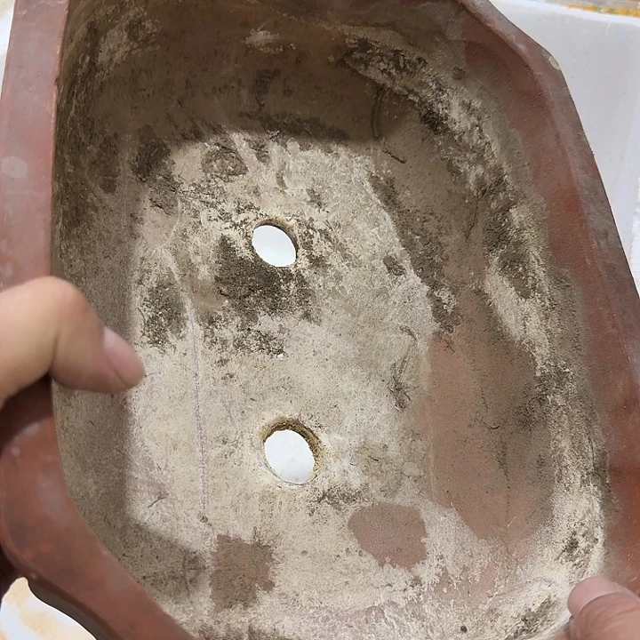好***树扇子吃g哈哈哈哈哈哈哈哈哈