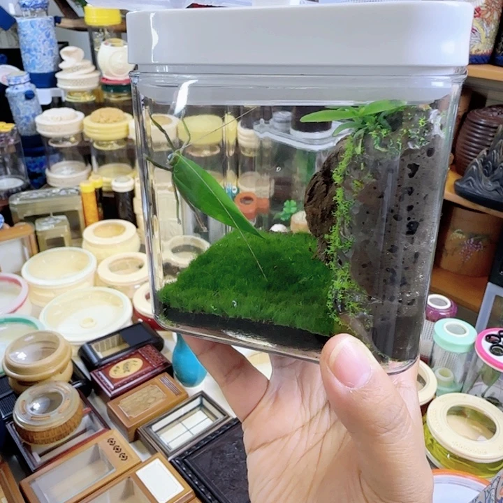 10/10盒➕素背啊啊啊啊啊