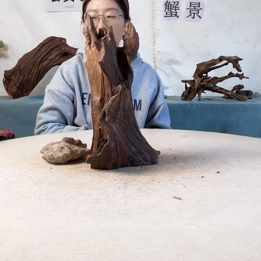 沉木造景爬宠造景