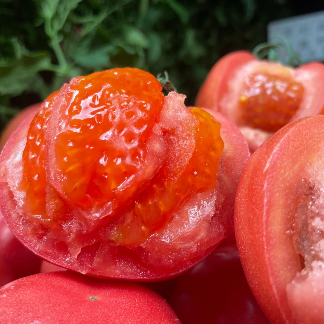 山东正宗普罗旺斯水果小番茄西红柿沙瓤爆汁农家现摘