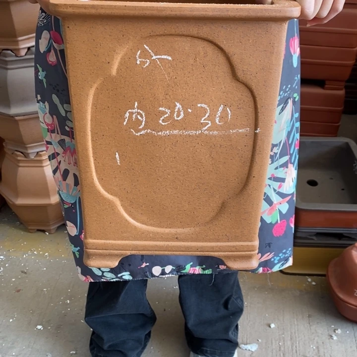 紫砂花盆只顾吃瓜