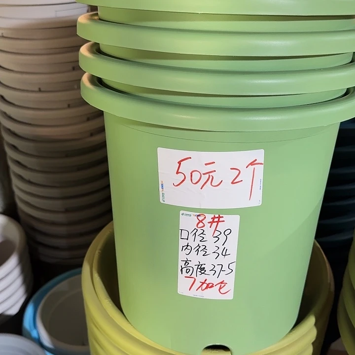 微瑕8#浅绿5个无托