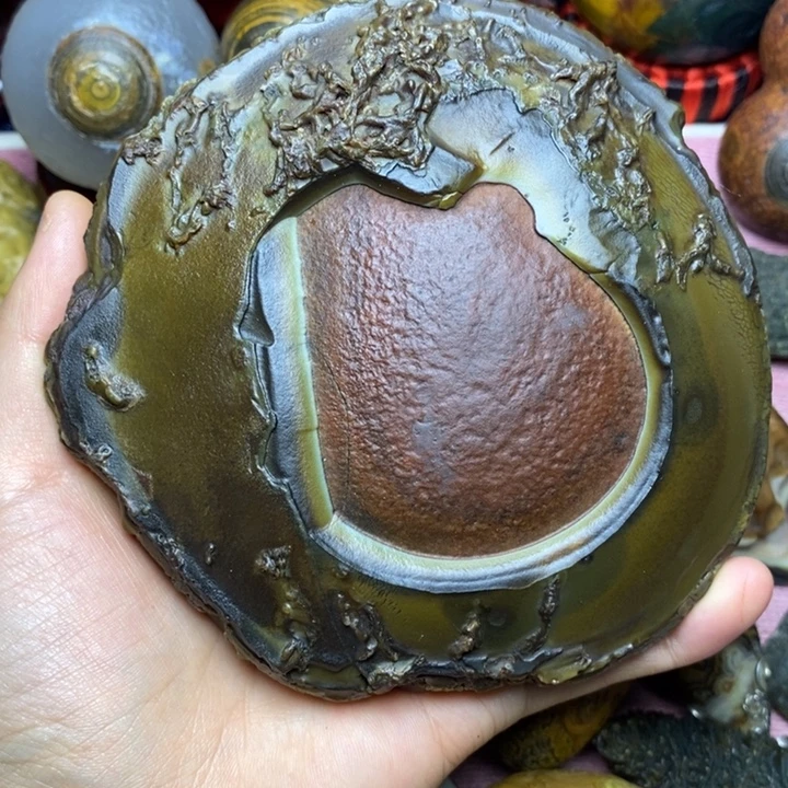 老***马大叶紫檀（黑酸枝木类）