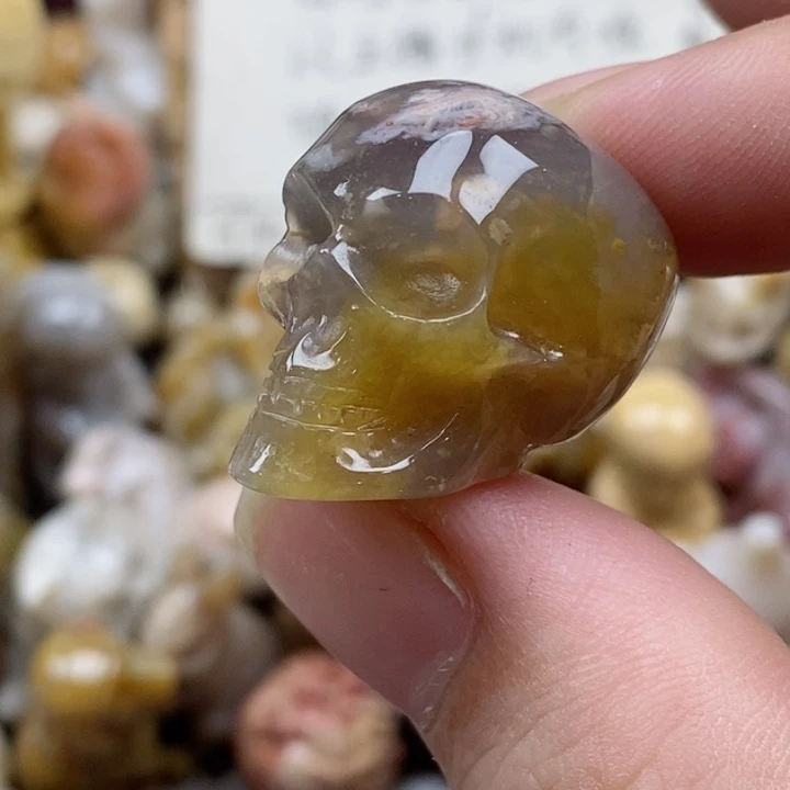 颈饰未镶嵌硅化珊瑚（珊瑚玉）小