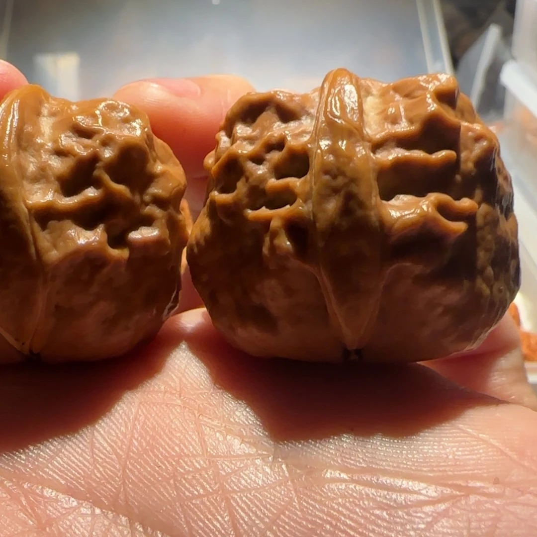 把件文玩核桃甲壳虫生命