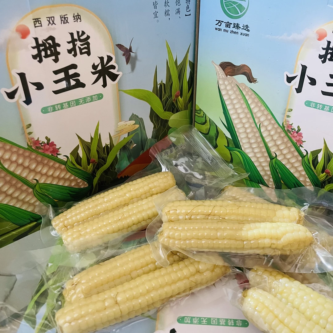 云南西双版纳 拇指小玉米 净重4斤 18袋左右 2根/袋