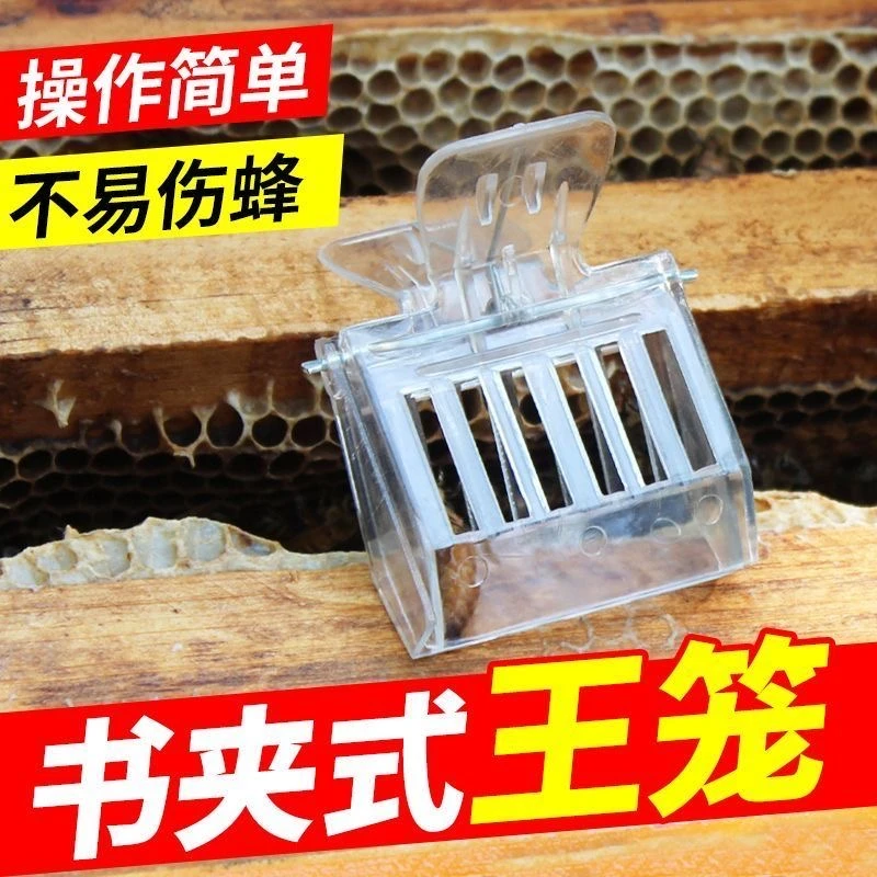书夹式王笼塑料王笼夹子蜜蜂囚王笼关王抓蜂王专用养蜂工具防逃器