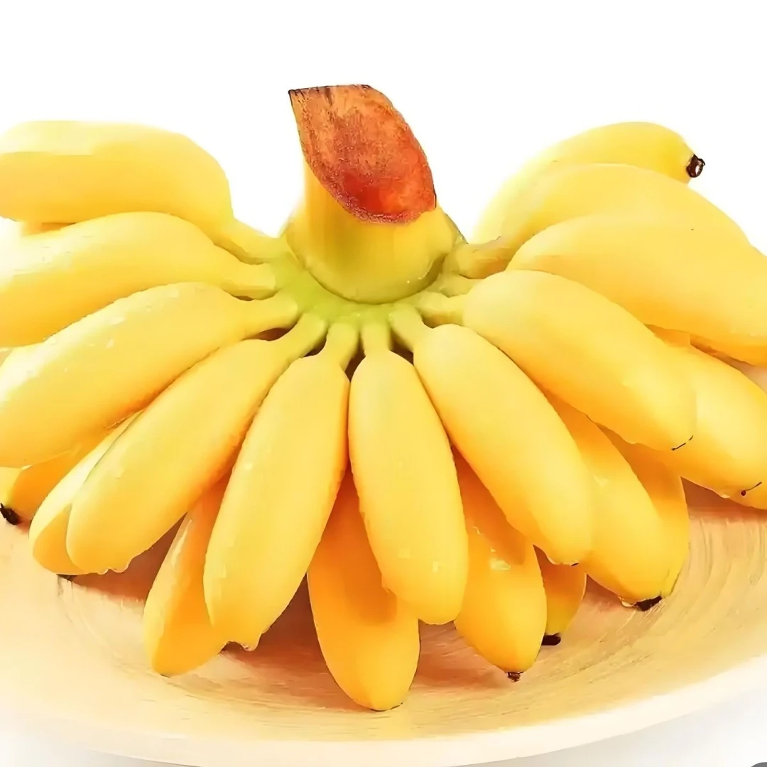 顺丰包邮海南正宗皇帝蕉小孩孕妇必备软糯香甜巴掌榴莲