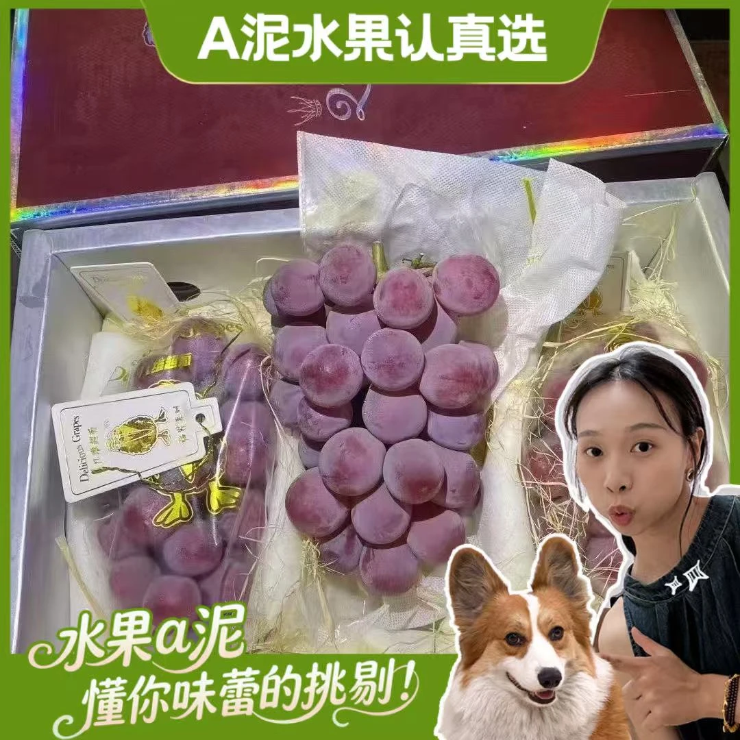 几维农场 妮娜皇后当季新鲜葡萄 带红酒香味【坏果包赔+顺丰包邮】