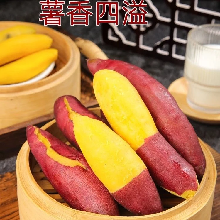 【现挖现发】糖心小香薯蜜薯产地直发丝滑红薯龙薯皮薄如纸新鲜蔬菜