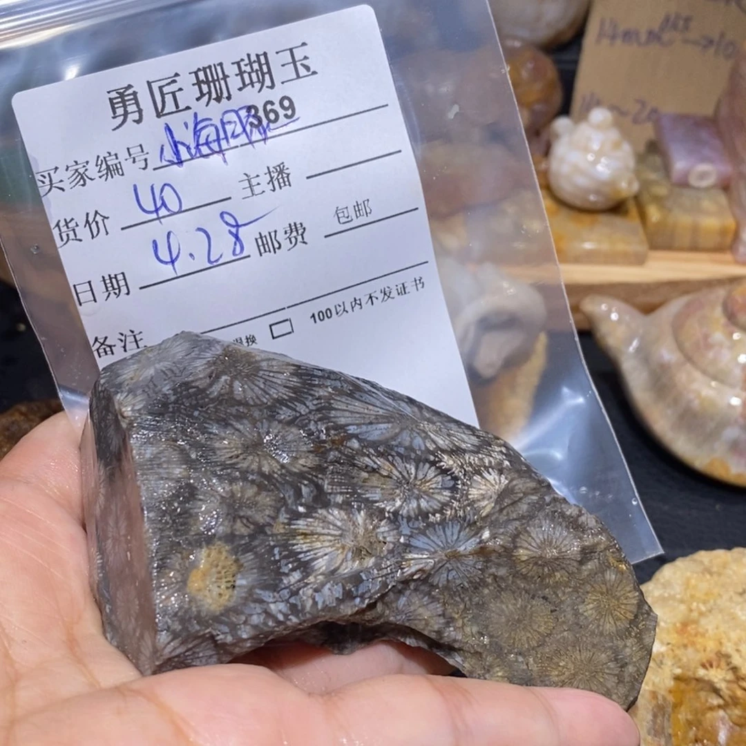 【闪购商品】硅化玉颈饰未镶嵌小***歌