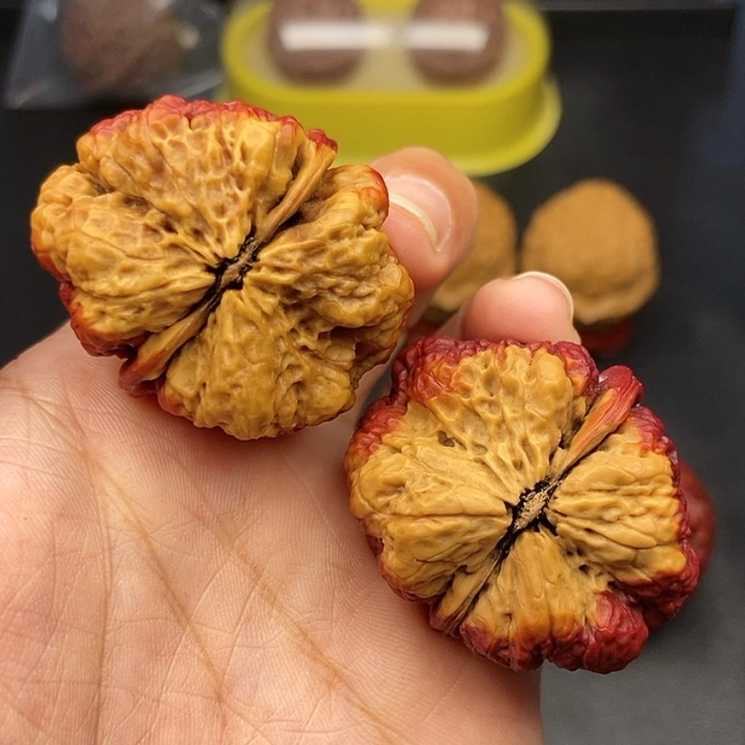 【闪购商品】把件文玩核桃40尺蝴蝶蟾