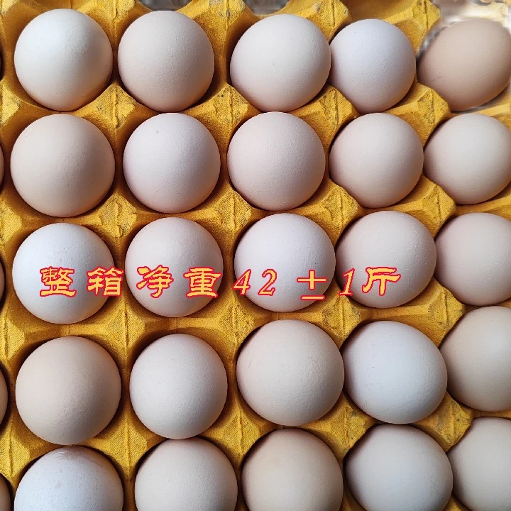 整箱360枚五谷玉米黄大码土鸡蛋鲜鸡蛋42±1斤