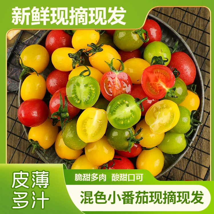 鲜七彩彩色小番茄圣女果混合装酸甜多汁现摘现发青甜-BC