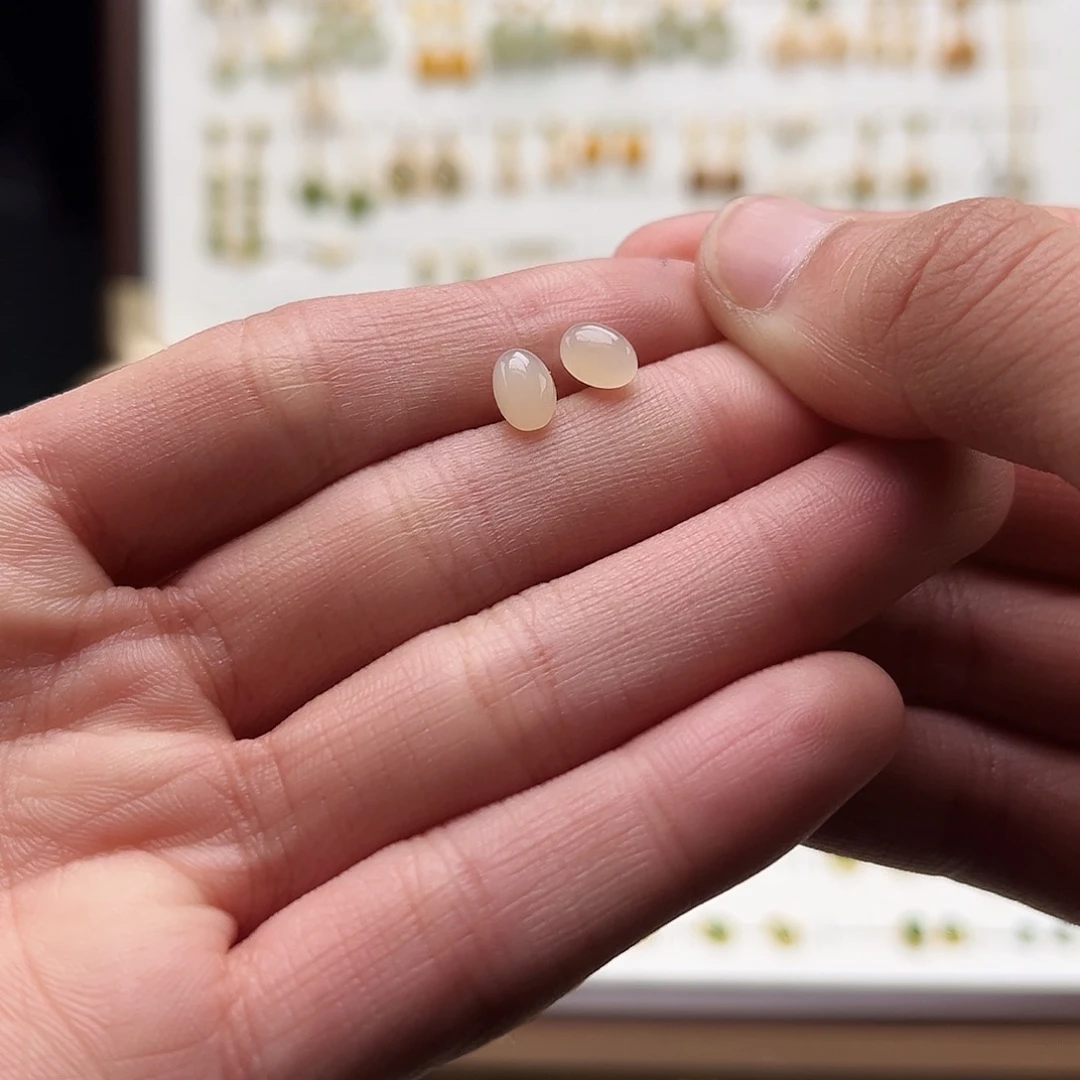 银S925镶嵌和田玉耳饰