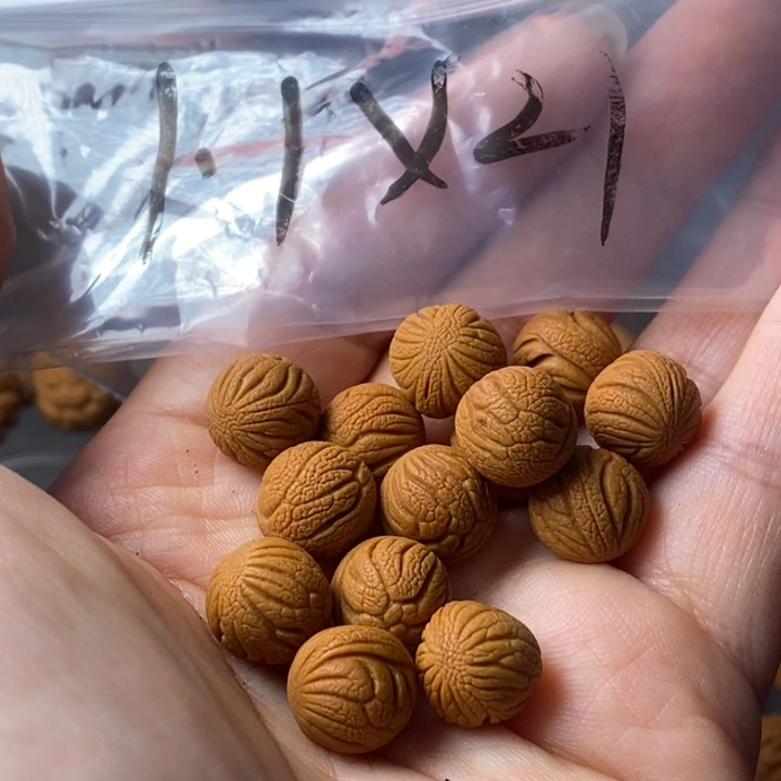 文玩核桃手串秦岭野生龙纹桃核11