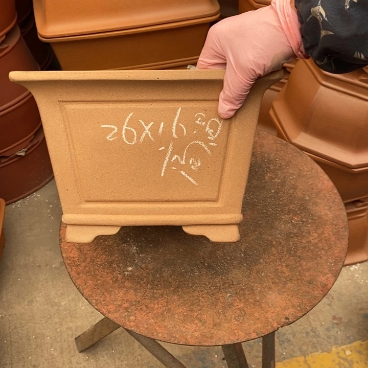 紫砂花盆只顾看电视