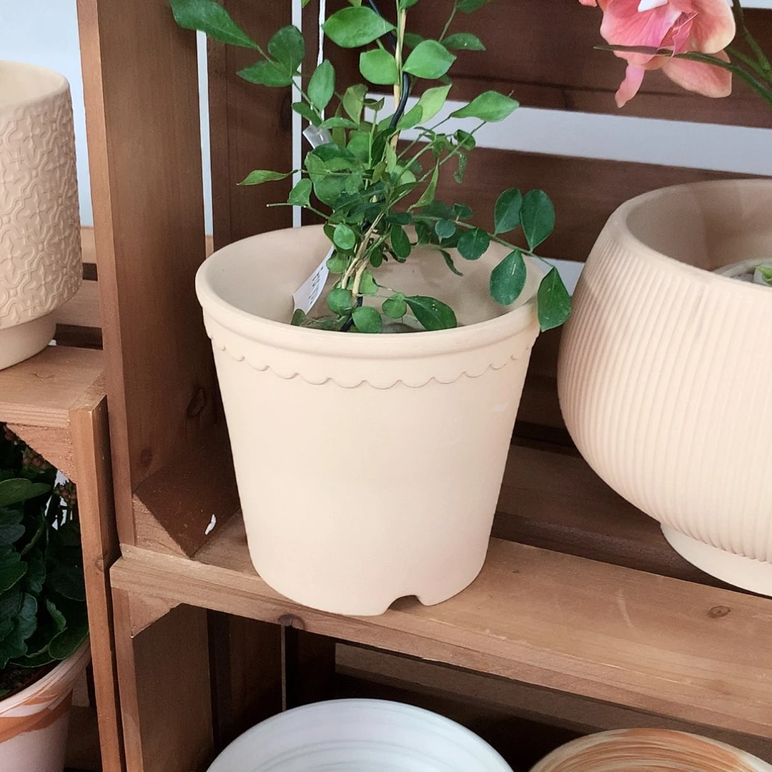 微瑕赫莲娜渐变色口14.5高13.5