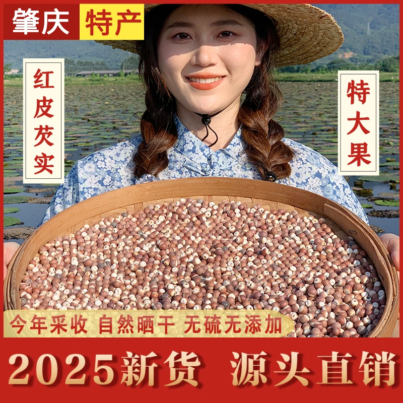 【新货特大】肇庆芡实 新货正宗红皮 农家鸡头米煮粥煲汤汤料食材