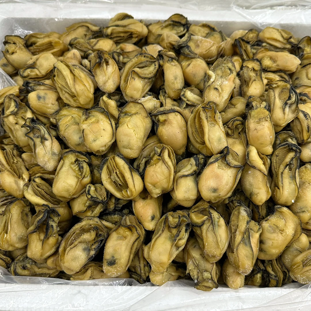 【三姑娘心选】台山大金蚝生晒蚝干海蛎干