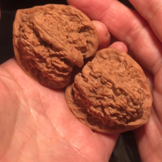 吊坠文玩核桃蚂蚁沟43尺