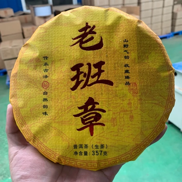 头春老班章古树纯料生茶